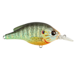 Live Target Sunfish Crankbait Medium Dive 5-6'