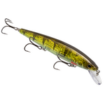 Strike King KVD Elite Jerkbait 300