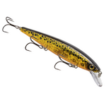 Strike King KVD Elite Jerkbait 300
