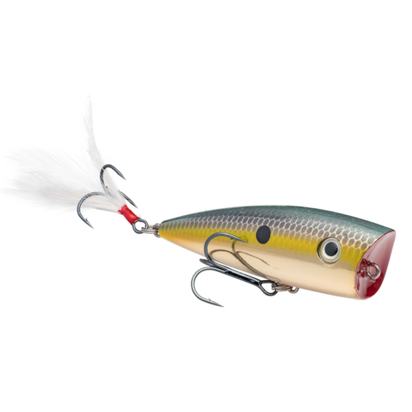 Strike King KVD Splash 3"