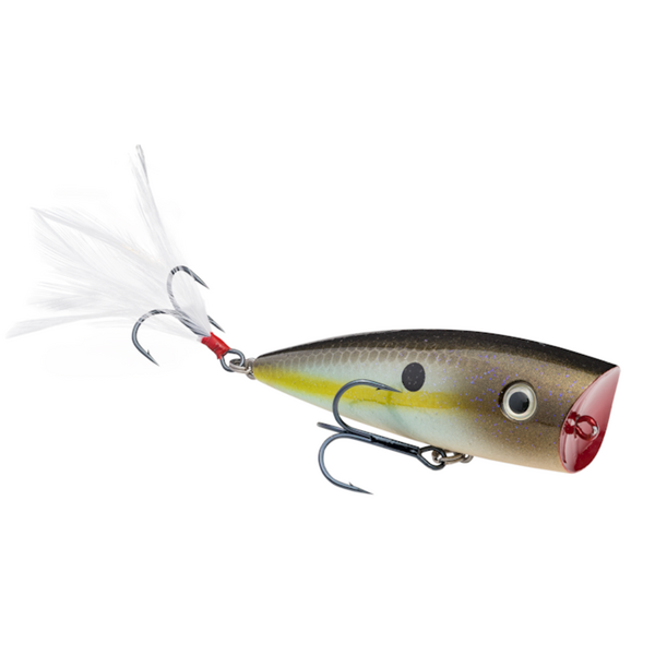 Strike King KVD Splash 3"