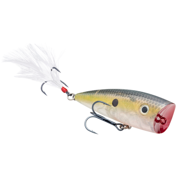 Strike King KVD Splash 3"