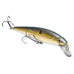 Strike King KVD Jerkbait 200
