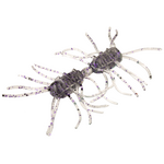 Strike King Sexy Bug 3"