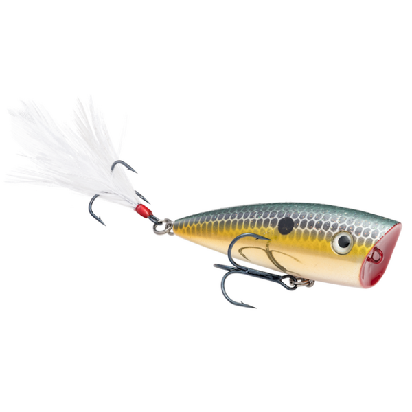 Strike King KVD Splash Jr 2-1/4"