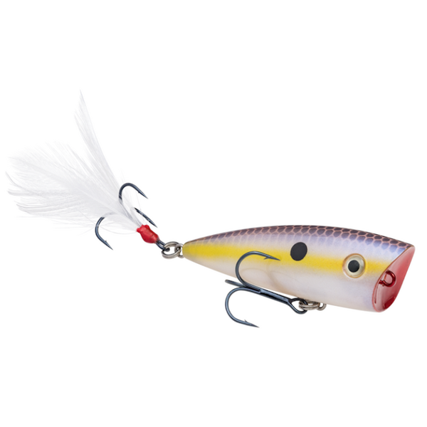 Strike King KVD Splash Jr 2-1/4"