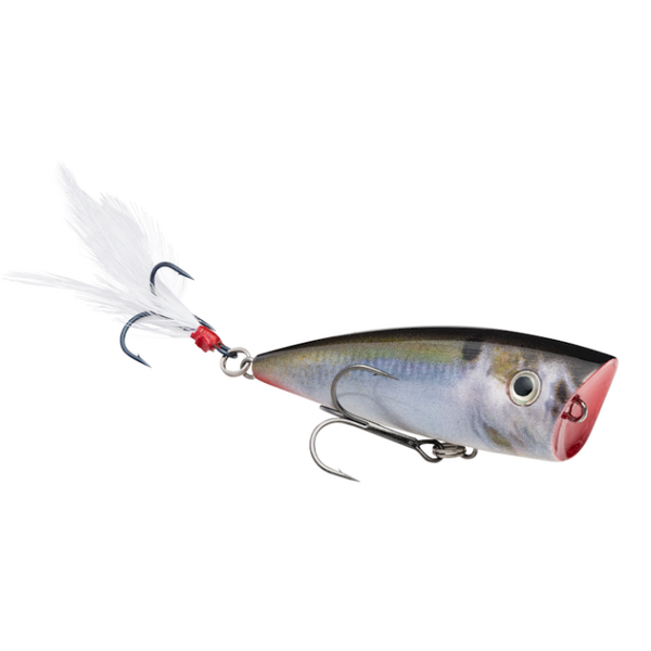 Strike King KVD Splash Jr 2-1/4"