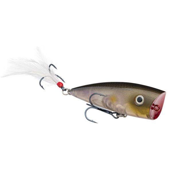 Strike King KVD Splash 3"