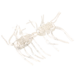 Strike King Sexy Bug 3"