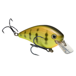 Strike King KVD Squarebill 2.5