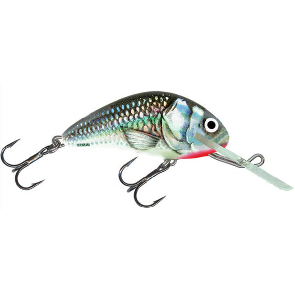 Salmo Rattlin' Hornet 3.5 Floating