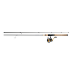 Daiwa Revros LT Spinning Combo