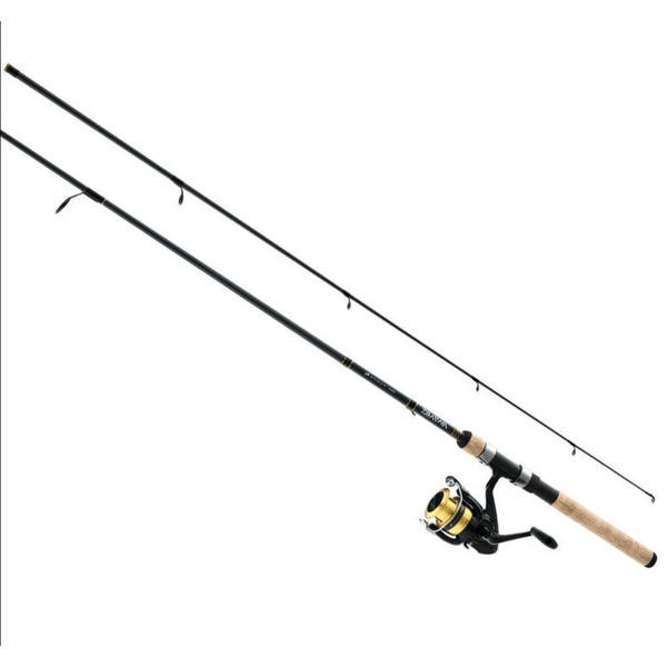Daiwa D-Shock LT Spinning Combo