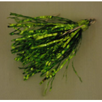 Howie's  Peanut Fly w/Treble Hook