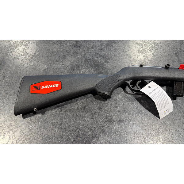 Savage Model 64  22 LR Semi Auto w/Sights