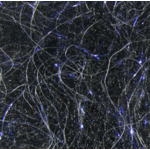 Hareline Dubbin  Senyo's Laser Dub