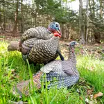 LCD Half-Strut Jake Decoy