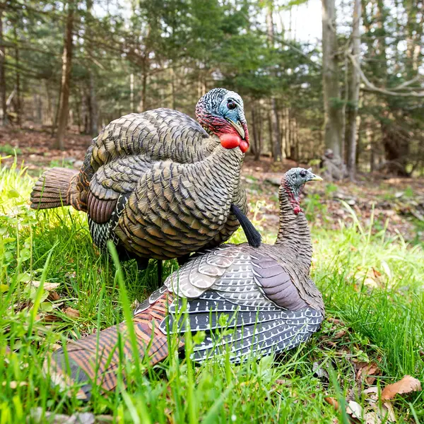 LCD Half-Strut Jake Decoy