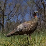 Avian X LCD Look-Out Hen Decoy