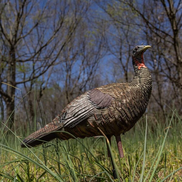 Avian X LCD Look-Out Hen Decoy