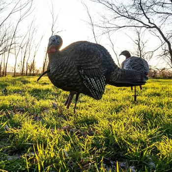 LCD Feeder Hen Decoy
