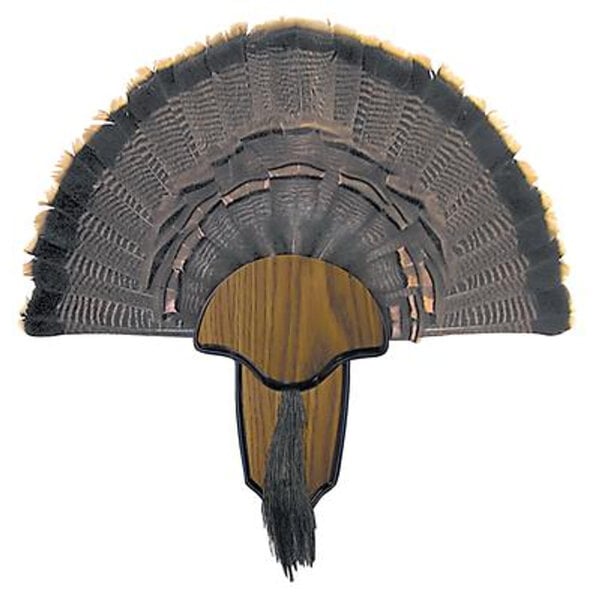 Hunters Specialties Turkey Tail and Beard Mounting Kit