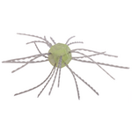 Strike King Tumbleweed Salted 3"