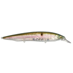 Megabass Kanata +1