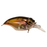 Megabass SR-X Griffon BFS