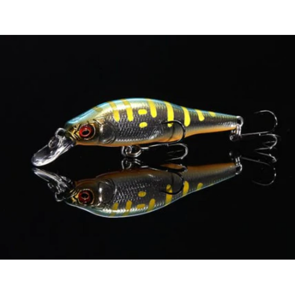 Megabass X-80 Jr