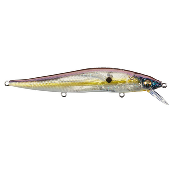 Megabass Vision 110 Silent