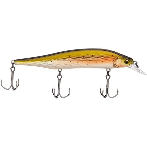 Megabass Ito Shiner
