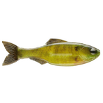 6th Sense Plump Panorama 5.0