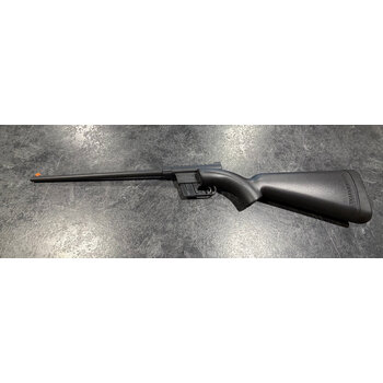 Henry 22 LR US Survival Rifle