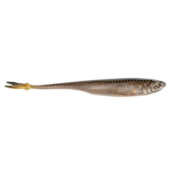 6th Sense Masterclass Strobe Minnow 4.0
