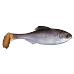 6th Sense Masterclass Panorama Swimbait 3.5