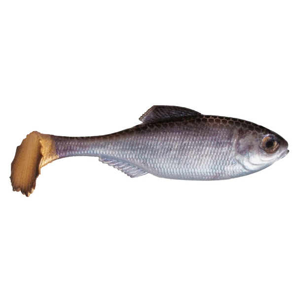 6th Sense Masterclass Panorama Swimbait 3.5