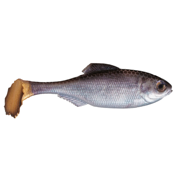 6th Sense Masterclass Panorama Swimbait 2.9