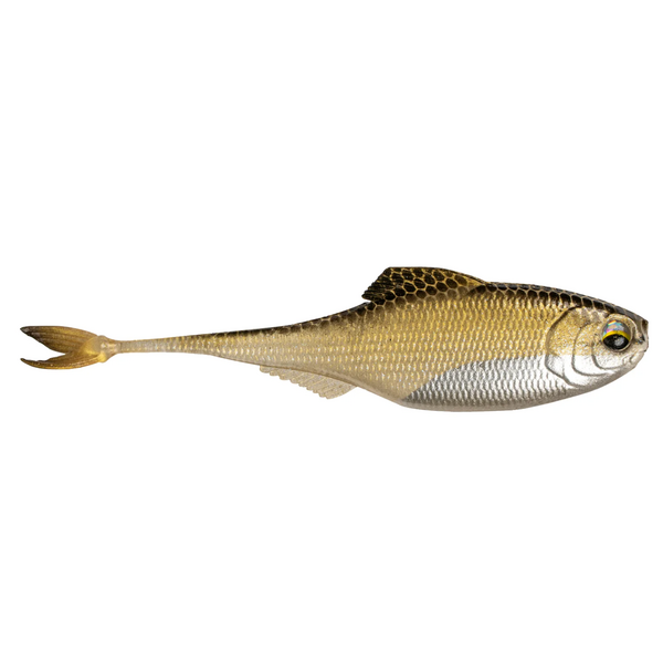 6th Sense Masterclass Fiction Shad 2.2