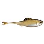 6th Sense Masterclass Fiction Shad 2.8