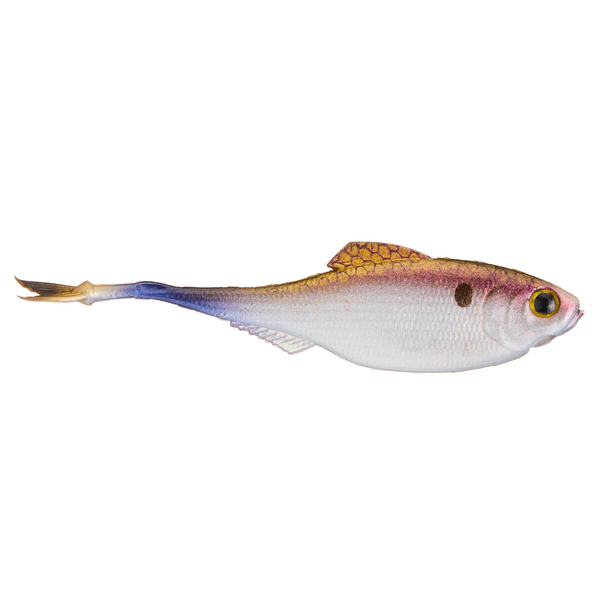 6th Sense Masterclass Fiction Shad 2.8