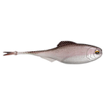 6th Sense Masterclass Fiction Shad 2.8