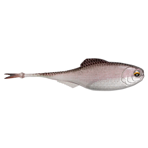 6th Sense Masterclass Fiction Shad 2.8
