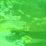 WTP Lure Tape 2x6 3-pk. Mountain Dew Hot Green