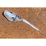 HR Baits Floating 1.25" Mini Fluke Shad 20 ct