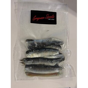 Gagnon Sports Frozen Herring Strip Natural 10/pk