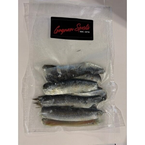 Gagnon Sports Frozen Herring Strip Natural 10/pk