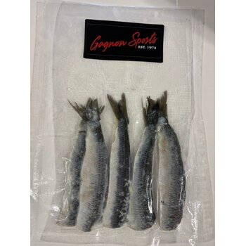 Gagnon Sports Frozen Herring Strip Natural 5/pk