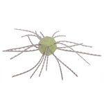 Strike King Tumbleweed Floatin' 3"
