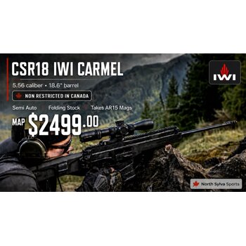 IWI Carmel 5.56 Nato - 18.6" Folding Stock